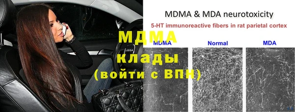 спиды Аркадак