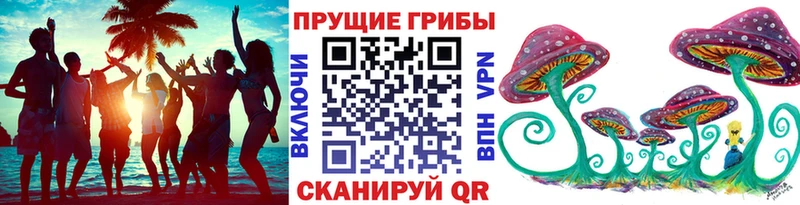Псилоцибиновые грибы Magic Shrooms Покачи